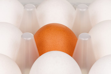 Image showing Eggs in box