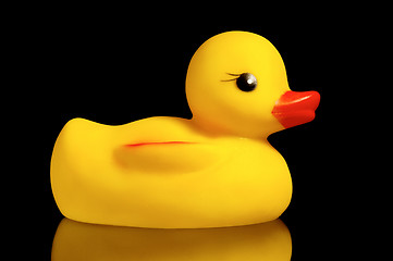 Image showing Rubber duck