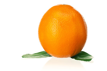 Image showing Ripe orange