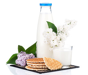Image showing Bottle of milk