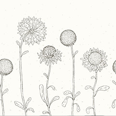 Image showing Hand drawn Sunflower. Floral background.