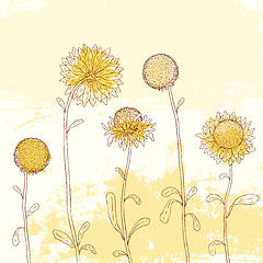 Image showing Yellow sunflower on Watercolor background.