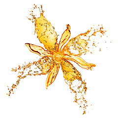 Image showing flower from water splashes isolated on white