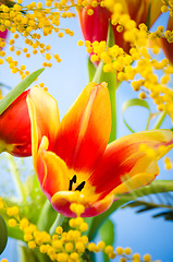 Image showing Spring bouquet with a mimosa and tulips