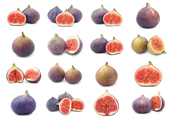 Image showing Fig