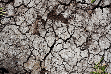 Image showing Dry land