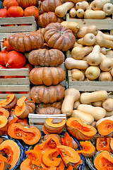 Image showing Pumpkins