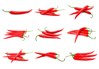 Image showing Chili peppers