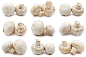 Image showing Champignons