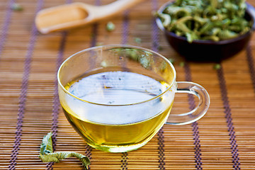 Image showing Verveine Tea or Verbena Tea