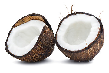 Image showing Coconut