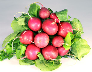 Image showing radish