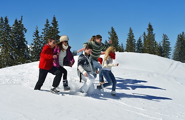 Image showing friends have fun at winter on fresh snow