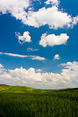 Image showing Green Landscape