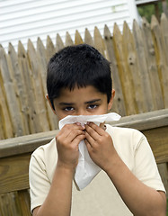 Image showing Allergy