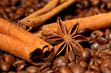 Image showing Coffee beans