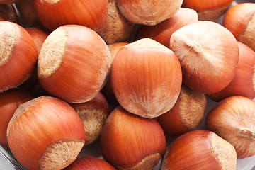 Image showing Hazelnuts or filbert