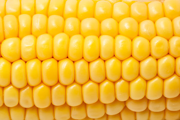 Image showing Corn