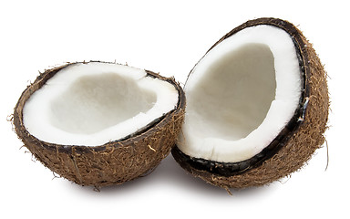 Image showing Coconut