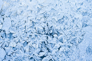 Image showing Frost pattern