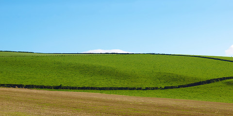 Image showing Cardross hill panorama