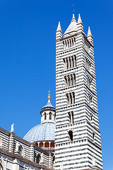 Image showing Cathedral in Siena