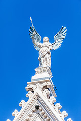 Image showing Angel at the Cathedral in Siena