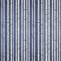 Image showing Birch wood pattern