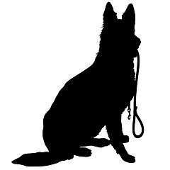 Image showing Shepherd with Leash