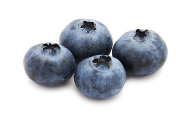 Image showing Blueberry