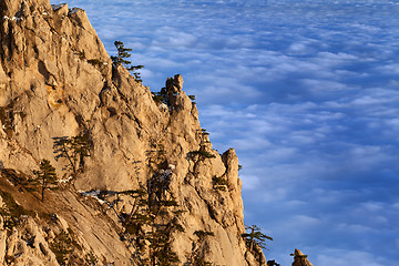 Image showing Sunlit cliffs and sea in clouds at evening