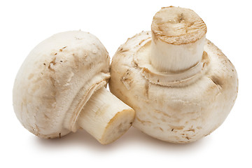 Image showing Champignon mushrooms