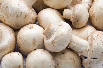 Image showing Champignon mushrooms