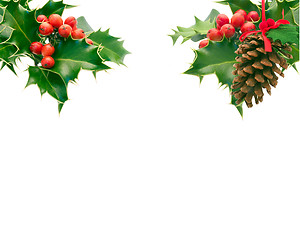 Image showing Holly and Pine