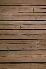 Image showing Wooden Bridge