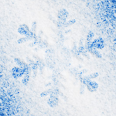 Image showing Snowflake on the snow.