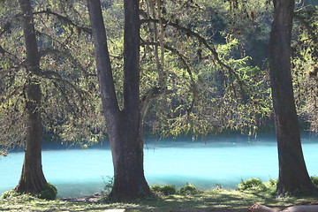 Image showing River in Huasteca, Mexico