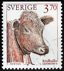 Image showing Calf Stamp