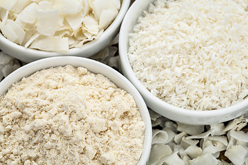 Image showing coconut flour and flakes