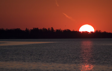 Image showing rising sun