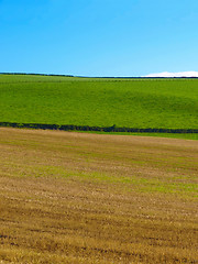 Image showing Cardross hill panorama