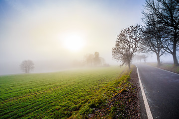 Image showing rural foggy road going to the sunrise