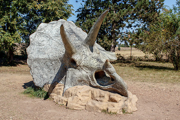 Image showing Triceratops Fossil skeleton over natural background