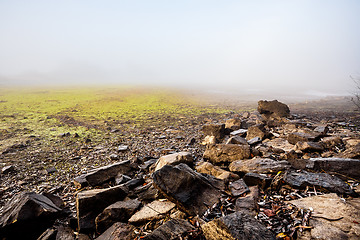 Image showing The cool autumn morning at the pond drained 