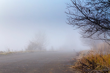 Image showing Road going in to the fog