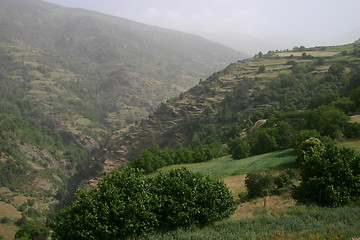 Image showing Old terraces in Las Alpujarras, Spain