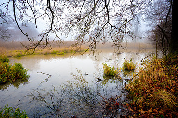 Image showing The cool autumn morning at the pond