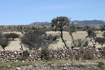 Image showing Mexican landscape