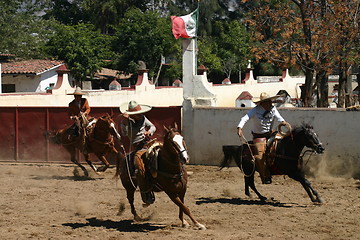 Image showing Mexican charros galloping