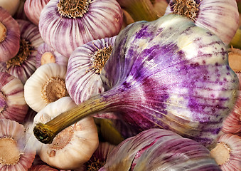 Image showing garlic